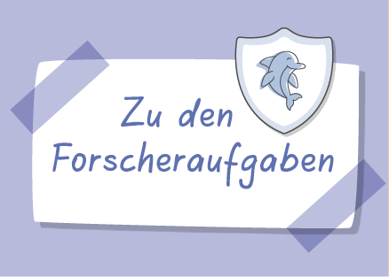 meine Forscheraufgaben